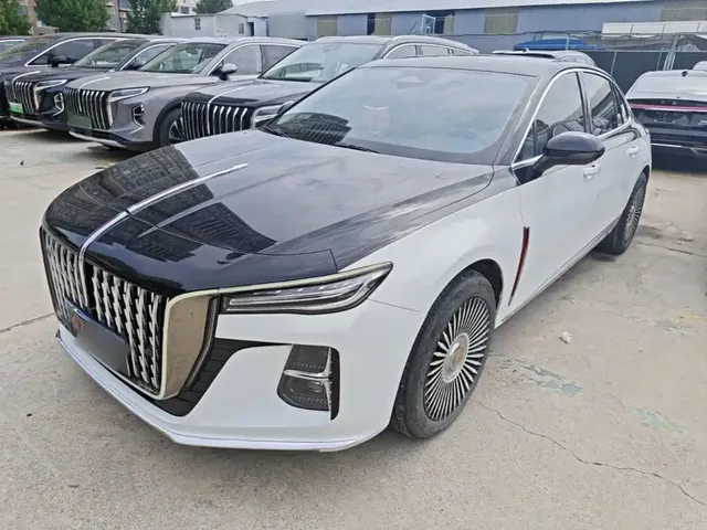 Hongqi H5 2024 2.0T Automatic Smart Connect Flag Smooth Edition