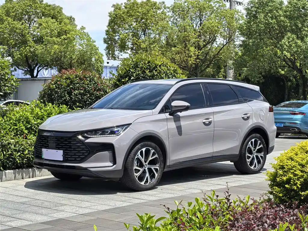 BYD Tang New Energy 2025 DM-i 115KM Prestige Type