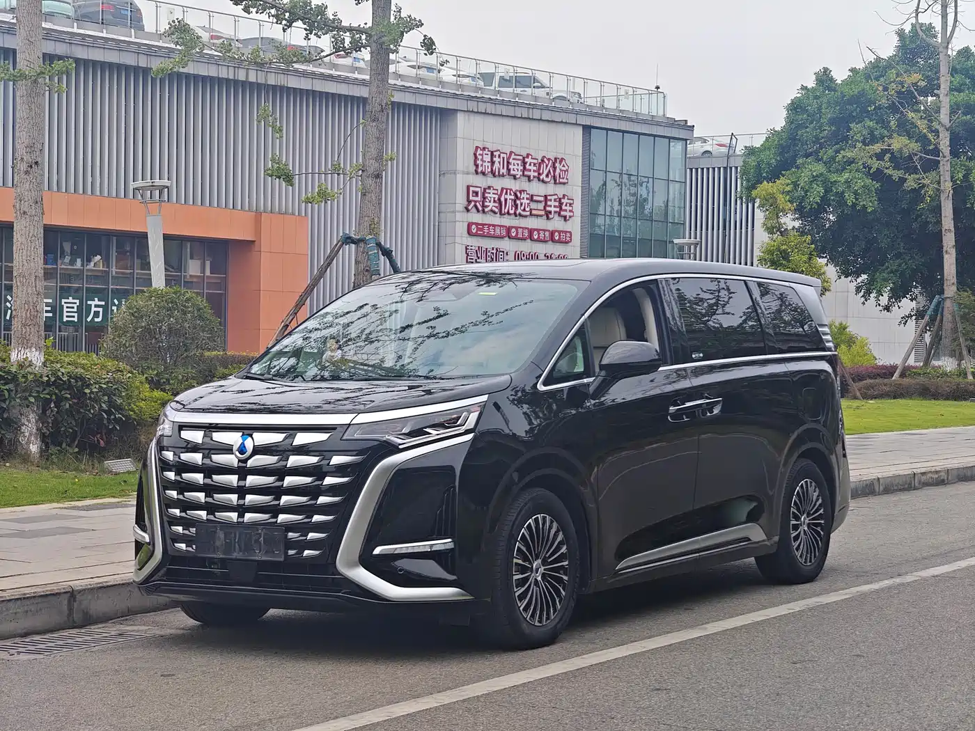 Denza D9 2024 DM-i 1050 Premium