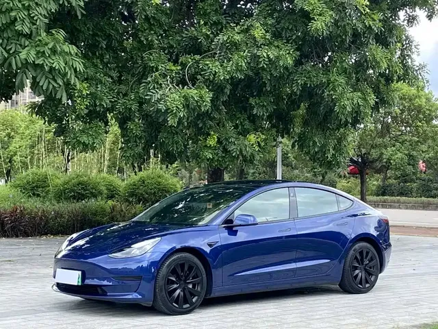 Tesla Model 3 2021 Standard Range Rear-Wheel Drive Upgrade