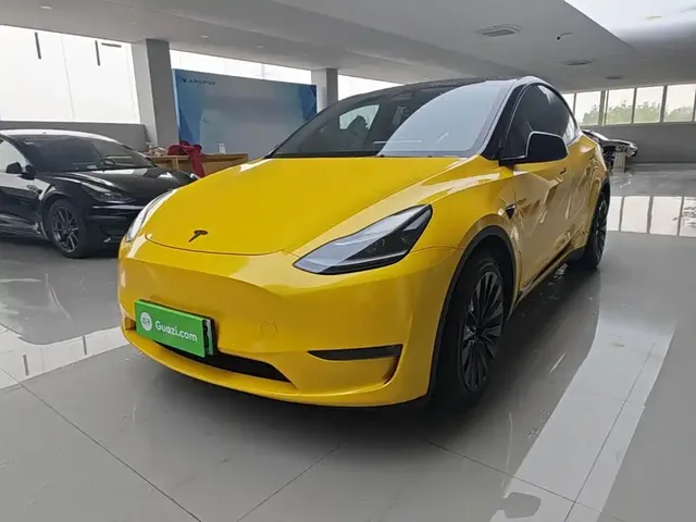 Tesla Model Y 2021 Standard Range Rear-Wheel Drive
