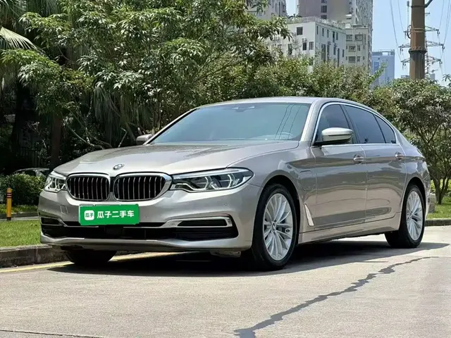 BMW 5 Series New Energy 2020 530Le Pioneer Edition