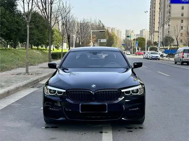 BMW 5 Series 2019 530Li Leading M Sport Package