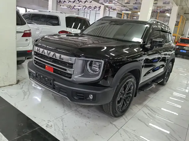 Haval Big Dog 2024 1.5T DCT Border Collie Edition