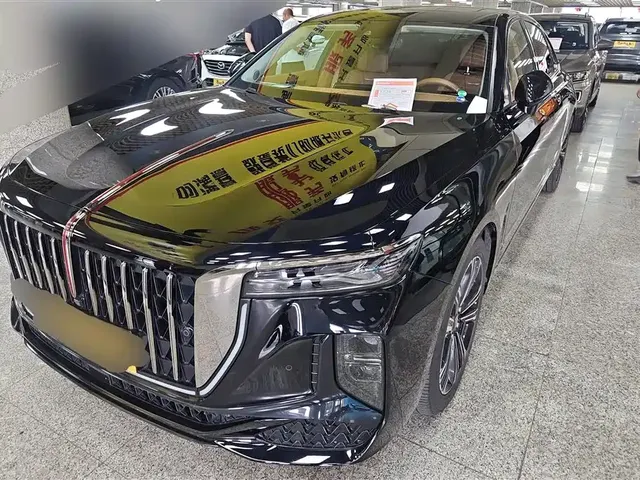 Hongqi H9 2024 2.0T Qi Enjoy Private Fashion Edition