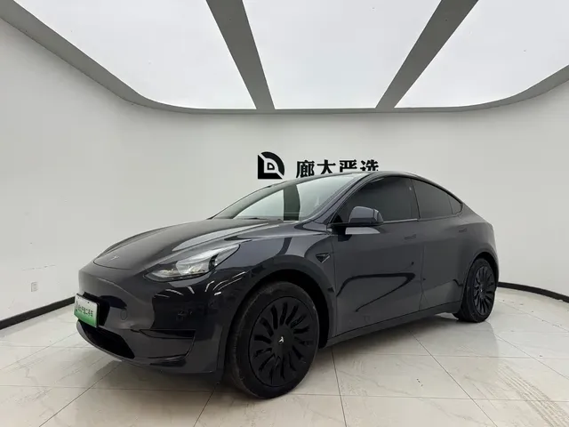 Tesla Model Y 2024 Rear-Wheel Drive Version