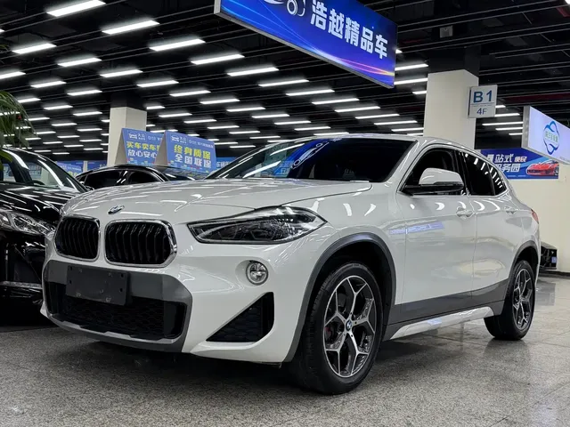 BMW X2 (Import) 2019 sDrive20i M Off-Road Package China VI