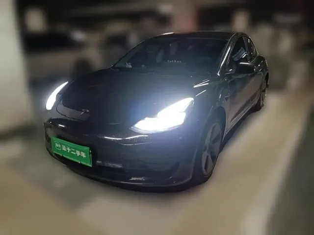 Tesla Model 3 2022 Model Rear-Wheel Drive Version