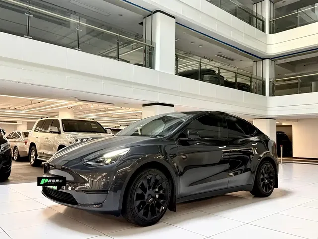Tesla Model Y 2024 Rear-Wheel Drive Version