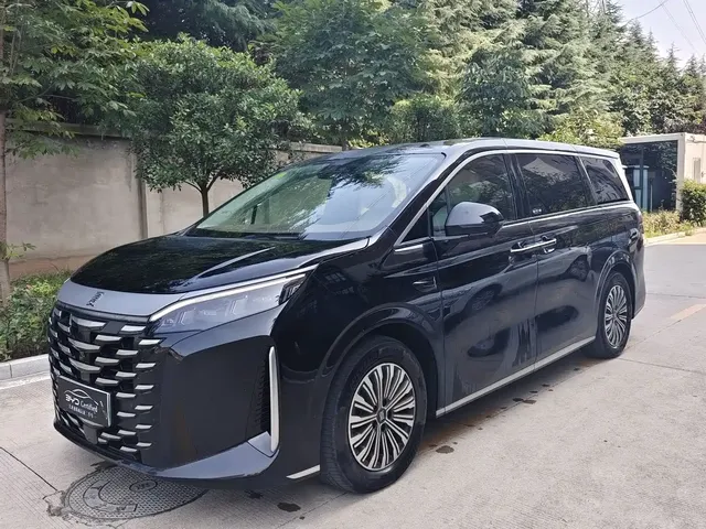 BYD Xia 2025 DM-i 1.5T 180km Excellence