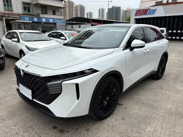 Venucia Big V 2021 260T Idol Edition