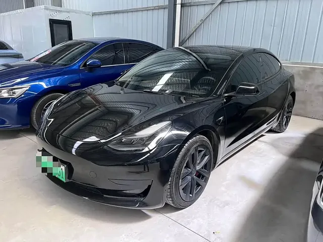 Tesla Model 3 2022 Model Rear-Wheel Drive Version
