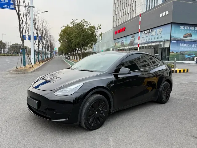 Tesla Model Y 2022 Rear-Wheel Drive Version