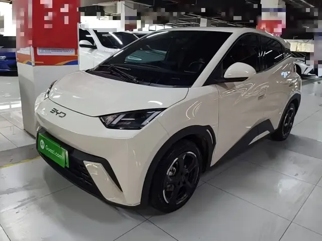 BYD Seagull 2024 Glory Edition 405km Soaring Edition