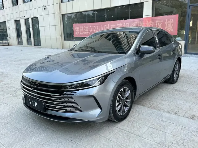 BYD Destroyer 05 2024 Glory Edition DM-i 55KM Luxury