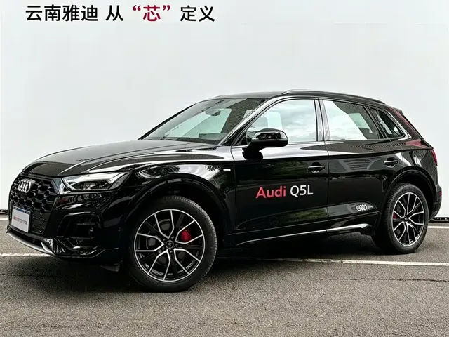 Audi Q5L 2025 45th Anniversary Edition 45 TFSI Luxury Sport