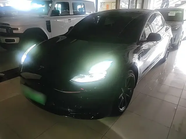 Tesla Model 3 2022 Model Rear-Wheel Drive Version
