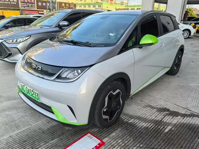 BYD Dolphin 2021 Model 405km Fashion Edition