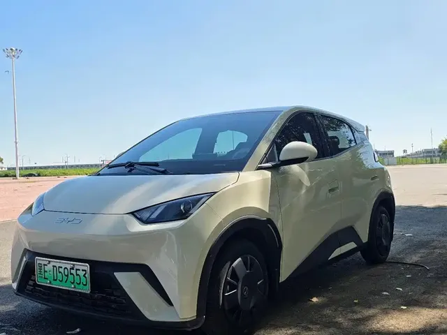 BYD Seagull 2025 305km Vitality