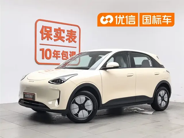 Geely Galaxy Starry Wish 2025 310km Youth Edition