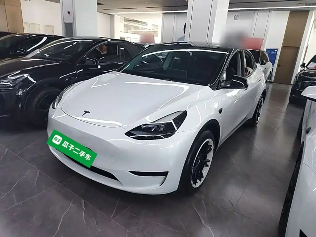 Tesla Model Y 2024 Rear-Wheel Drive Version