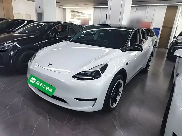 Tesla Model Y 2024 Rear-Wheel Drive Version