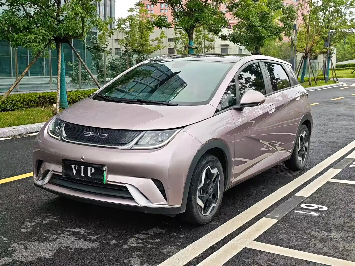BYD Dolphin 2021 405km Freedom Edition