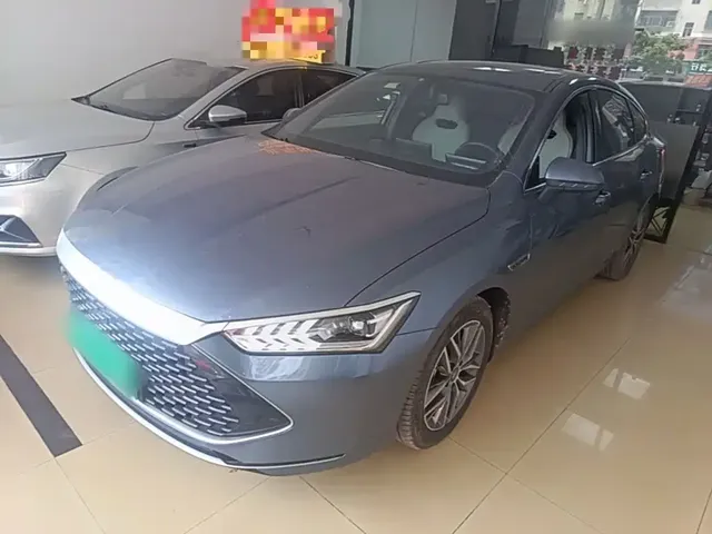 BYD Qin PLUS 2024 Glory Edition DM-i 55KM Surpass