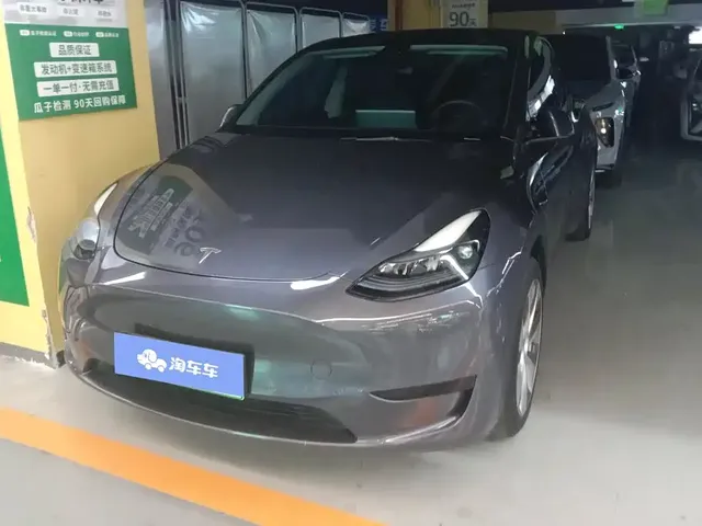 Tesla Model Y 2022 Rear-Wheel Drive Version
