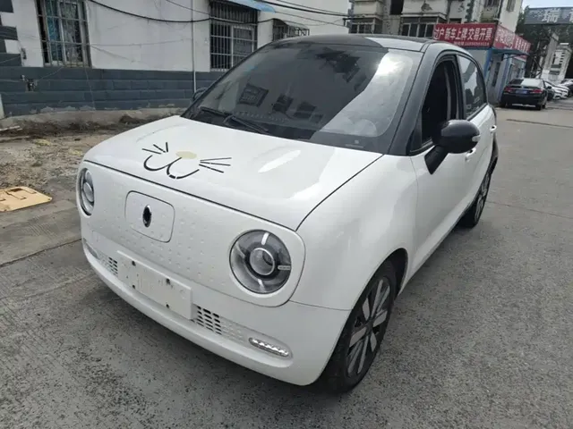 Ora Black Cat 2021 351km Standard Model