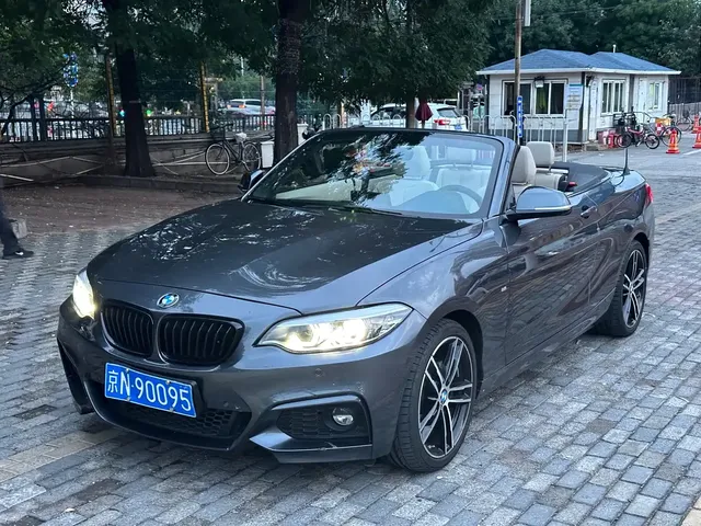 BMW 2 Series (Import) 2019 225i Convertible Coupe Exclusive M Sport Package