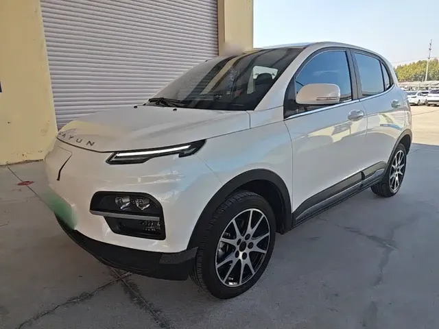 Dayun Yuehu 2022 330 VIP Edition