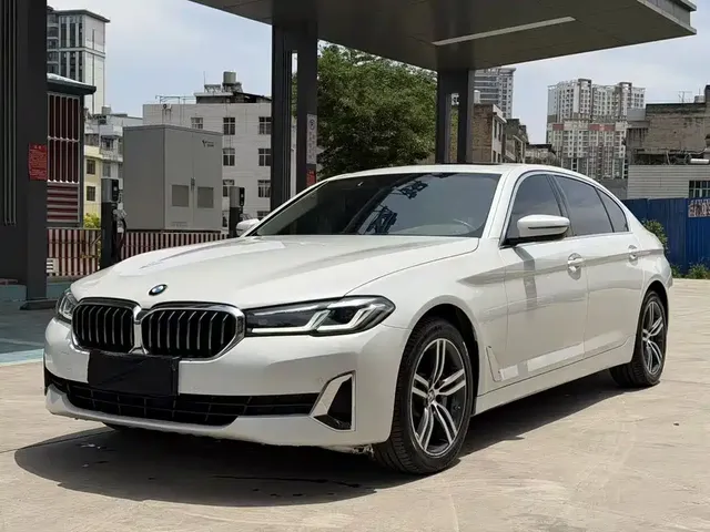 BMW 5 Series 2021 530Li Leading Luxury Package