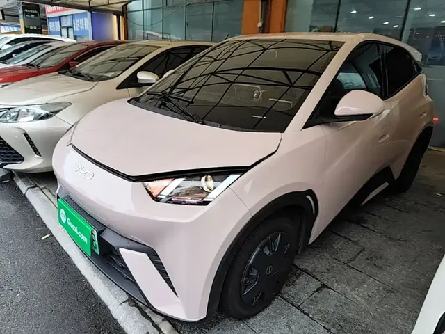 BYD Seagull 2024 Glory Edition 305km Vitality Edition