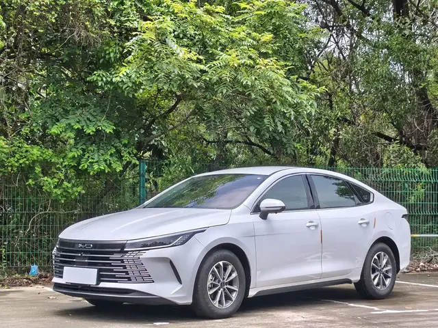 BYD Destroyer 05 2024 Glory Edition DM-i 55KM Luxury