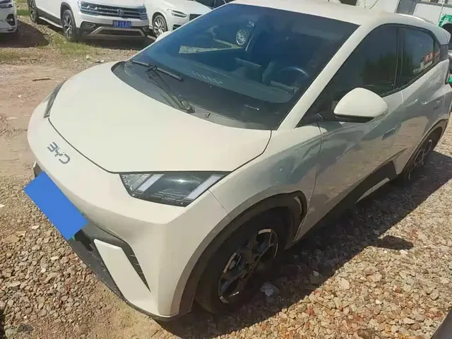 BYD Seagull 2024 Glory Edition 405km Soaring Edition
