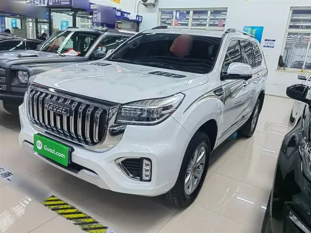 Haval H9 2022 2.0T Gasoline 4WD Premium 5-seater