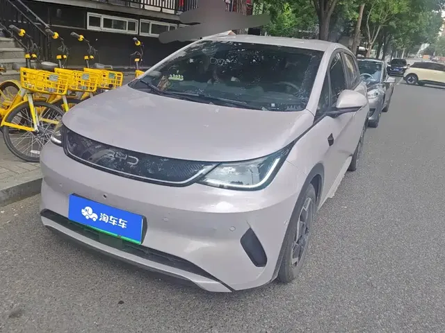 BYD Dolphin 2025 Smart Drive Edition 420km Freedom Version