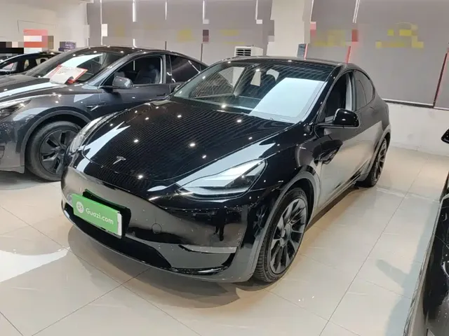Tesla Model Y 2021 Standard Range Rear-Wheel Drive