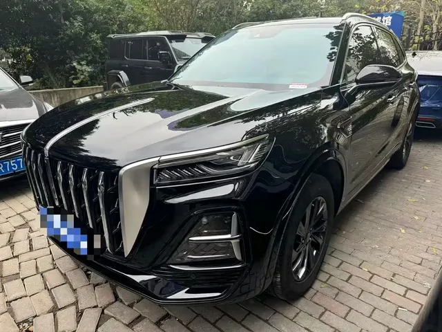 Hongqi HS5 2025 2.0T 2WD 600,000 Units Commemorative Edition