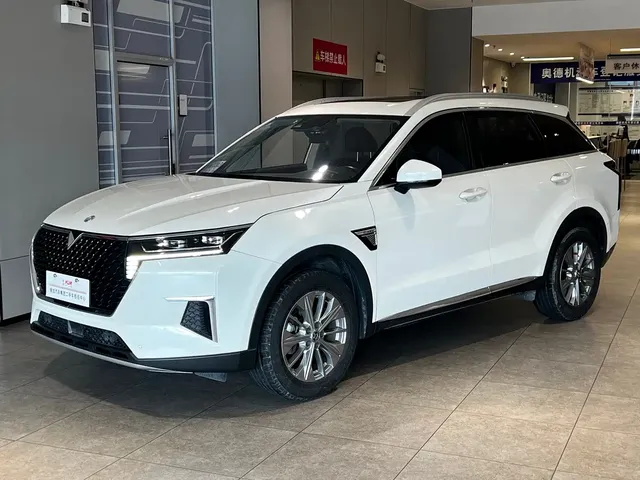 Venucia Star 2020 260T Automatic 48V Mild Hybrid Turbo Star Enjoy Edition