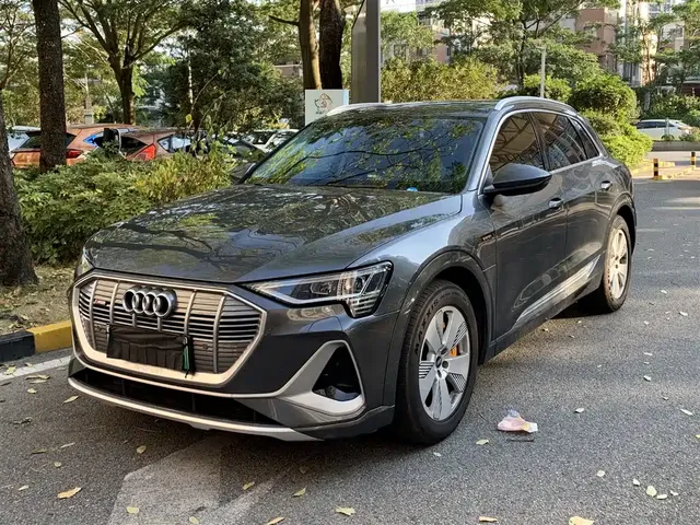 Audi e-tron 2021 50 quattro Luxury