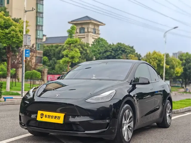 Tesla Model Y 2021 Standard Range Rear-Wheel Drive