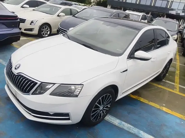 Škoda Octavia 2019 TSI230 DSG Zhixing Luxury Edition China VI