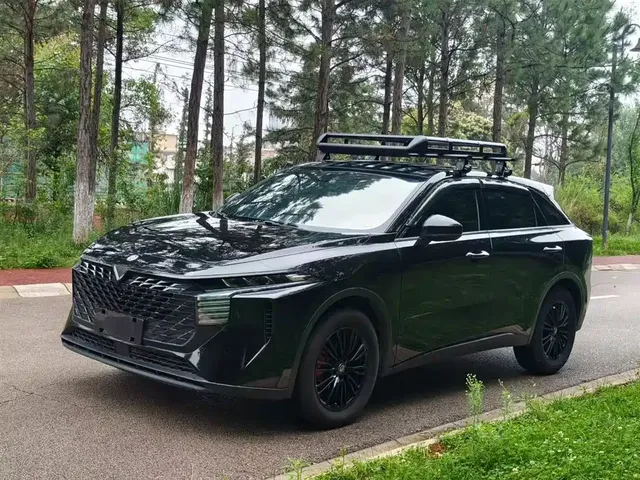 Venucia Big V 2022 260T Dark Horse Edition·Idol