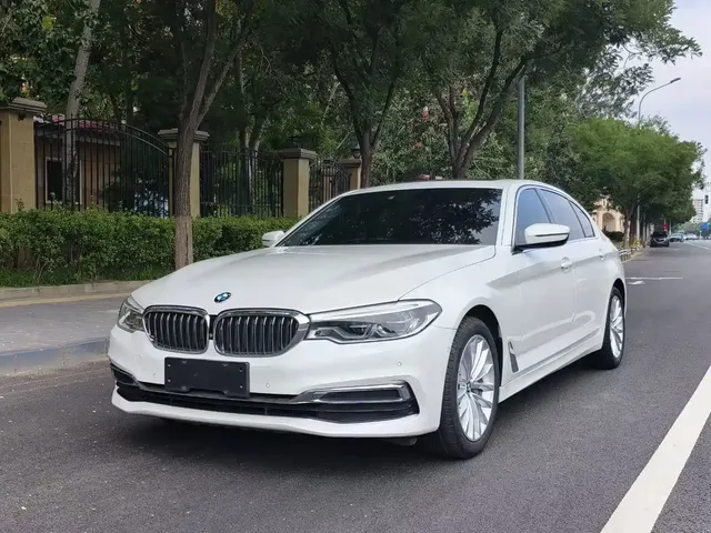 BMW 5 Series 2019 530Li Premium Luxury Package