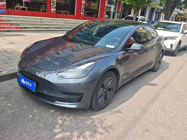 Tesla Model 3 2021 Standard Range Rear-Wheel Drive Upgrade 3D6