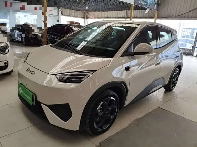 BYD Seagull 2025 Smart Drive Edition 305km Freedom Version