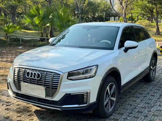 Audi Q2L e-tron 2019 Q2L e-tron Pure Electric Smart Cool Edition