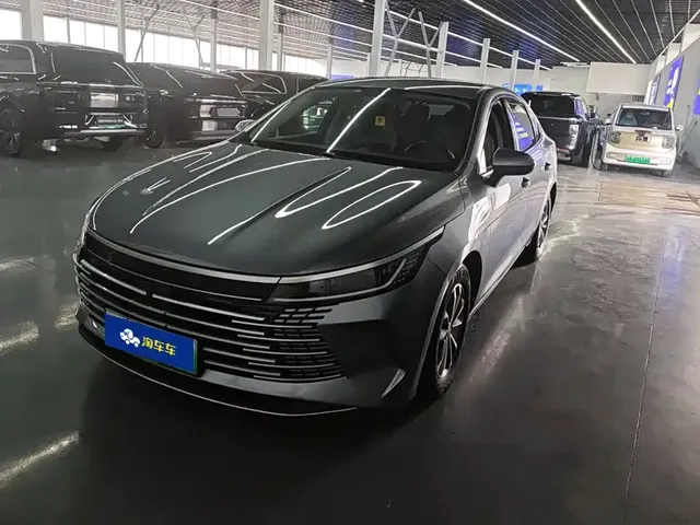BYD Destroyer 05 2024 Glory Edition DM-i 55KM Luxury